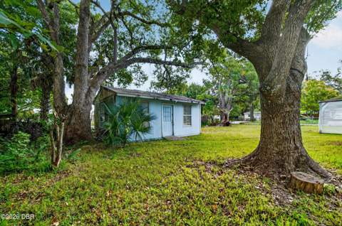 315 Dorothy Avenue, Holly Hill FL - photo 8 of 24