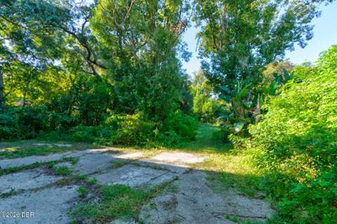 224 Daytona Avenue, Holly Hill FL - photo 17 of 25