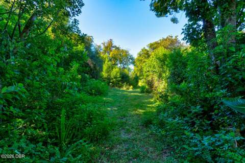 224 Daytona Avenue, Holly Hill FL - photo 18 of 25