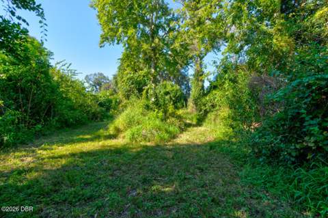 224 Daytona Avenue, Holly Hill FL - photo 20 of 25