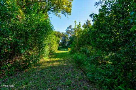 224 Daytona Avenue, Holly Hill FL - photo 21 of 25