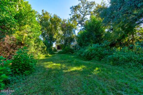 224 Daytona Avenue, Holly Hill FL - photo 22 of 25