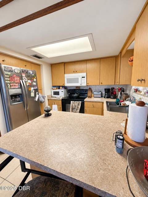 2219 India Palm Drive, Edgewater FL - photo 6 of 16