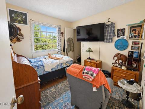 2219 India Palm Drive, Edgewater FL - photo 9 of 16