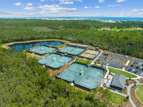 251 Sandcord Drive, Watersound FL - photo 14 of 15