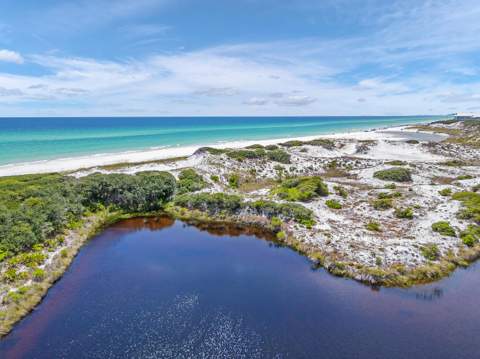 231 W Bermuda Drive, Santa Rosa Beach FL - photo 10 of 50
