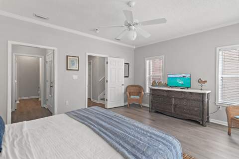 69 Seabreeze Trail, Inlet Beach FL - photo 16 of 30