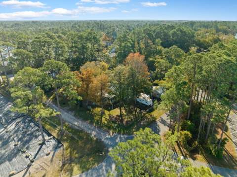 43 Hogtown Bayou Lane, Santa Rosa Beach FL - photo 14 of 21