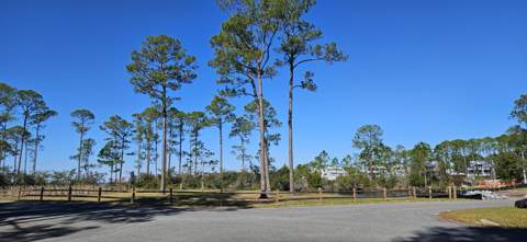43 Hogtown Bayou Lane, Santa Rosa Beach FL - photo 19 of 21