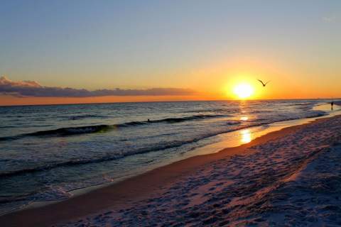 671 Nautilus Court #Unit 402, Fort Walton Beach FL - photo 18 of 23