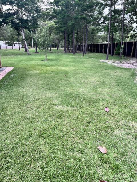 538 Majestic Boulevard, DeFuniak Springs FL - photo 10 of 27
