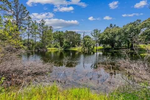 6071 Sonny Lane, Crestview FL - photo 8 of 30
