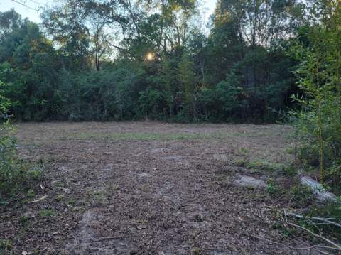 253 Argyle Church Road, DeFuniak Springs FL - photo 7 of 10
