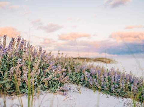 Lot 9 W Lupin Beach Drive, Inlet Beach FL - photo 8 of 12