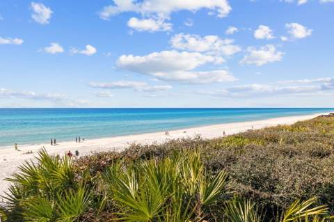 6 E Trigger Trail, Inlet Beach FL - photo 12 of 30