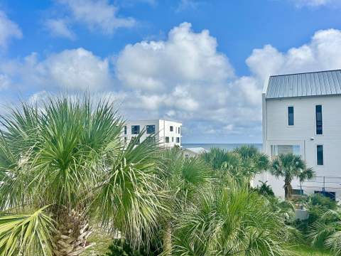169 Pompano Street, Inlet Beach FL - photo 11 of 92