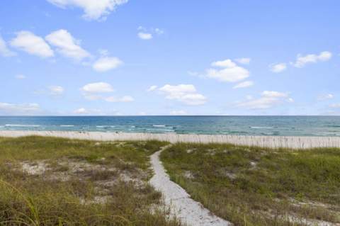 169 Pompano Street, Inlet Beach FL - photo 13 of 92