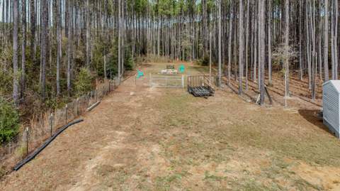1836 Williams Road, DeFuniak Springs FL - photo 9 of 41