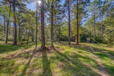 1650 Bear Bay Flats Rd Road, Laurel Hill FL - photo 10 of 157