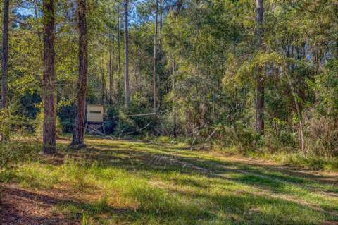 1650 Bear Bay Flats Rd Road, Laurel Hill FL - photo 11 of 157