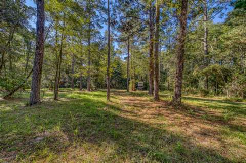 1650 Bear Bay Flats Rd Road, Laurel Hill FL - photo 12 of 157