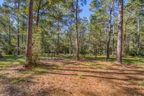 1650 Bear Bay Flats Rd Road, Laurel Hill FL - photo 13 of 157