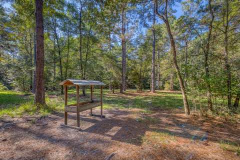 1650 Bear Bay Flats Rd Road, Laurel Hill FL - photo 14 of 157