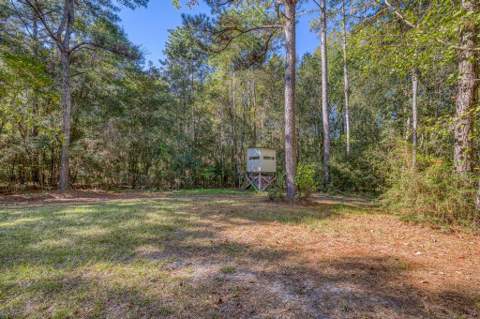 1650 Bear Bay Flats Rd Road, Laurel Hill FL - photo 15 of 157