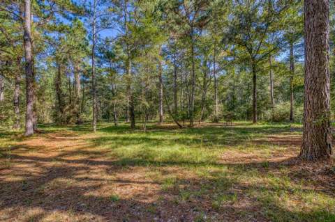 1650 Bear Bay Flats Rd Road, Laurel Hill FL - photo 16 of 157