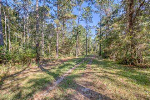 1650 Bear Bay Flats Rd Road, Laurel Hill FL - photo 17 of 157