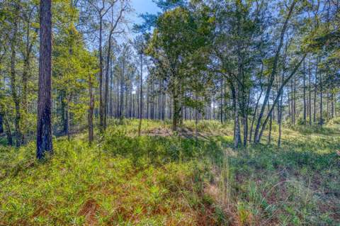1650 Bear Bay Flats Rd Road, Laurel Hill FL - photo 18 of 157