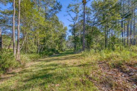 1650 Bear Bay Flats Rd Road, Laurel Hill FL - photo 21 of 157