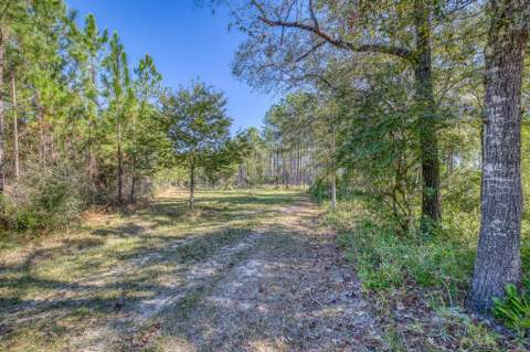 1650 Bear Bay Flats Rd Road, Laurel Hill FL - photo 22 of 157