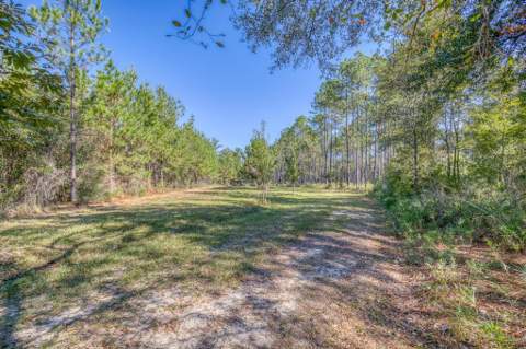 1650 Bear Bay Flats Rd Road, Laurel Hill FL - photo 23 of 157