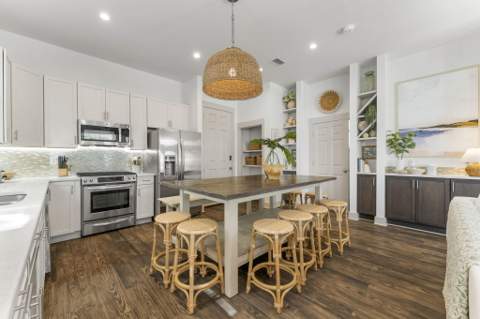 106 N Winston Lane, Inlet Beach FL - photo 6 of 71