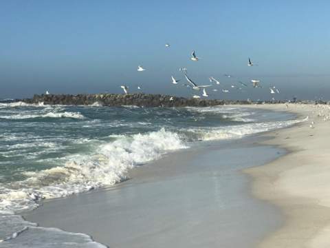 445 Gulf Shore Drive #201, Destin FL - photo 22 of 28