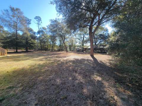 188 O Daniels Way, DeFuniak Springs FL - photo 6 of 17