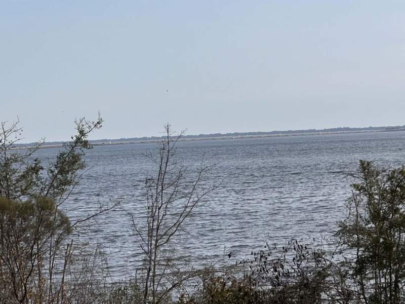1 bedroom Detached Single Family at 195 Alden Lane, Lagrange Bayou Estates, Freeport — photo 2