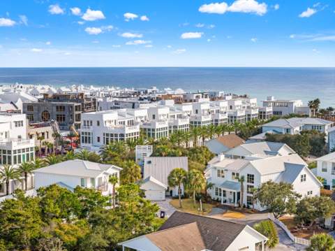 180 Walton Bonita Drive, Inlet Beach FL - photo 10 of 62