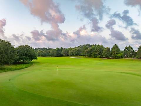 126 Pollard Cove West #Lot 27, Watersound FL - photo 8 of 13