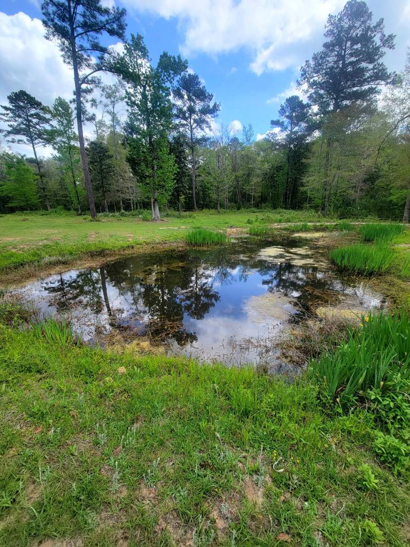 3 bedroom Detached Single Family at 1508 Crooked Creek Road, Metes & Bounds, Ponce De Leon — photo 5