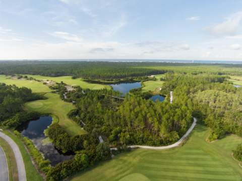 115 E Seabrook Way #Lot 23, Watersound FL - photo 13 of 32