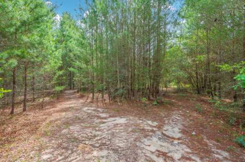 7765 S US Highway 331, DeFuniak Springs FL - photo 16 of 18
