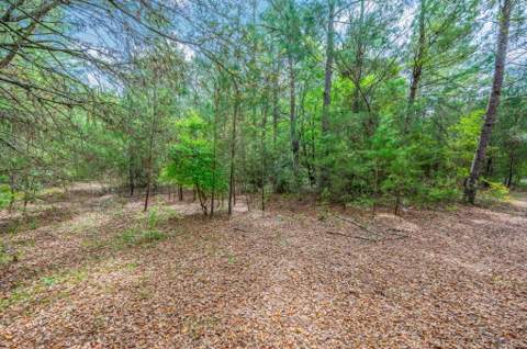 7765 S US Highway 331, DeFuniak Springs FL - photo 15 of 18