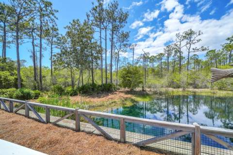 305 Flatwoods Forest Loop, Santa Rosa Beach FL - photo 19 of 83