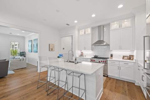 158 Trailhead Drive, Inlet Beach FL - photo 10 of 35