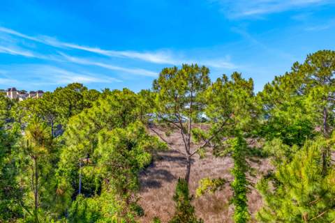9600 Grand Sandestin Boulevard #3408, Miramar Beach FL - photo 21 of 62