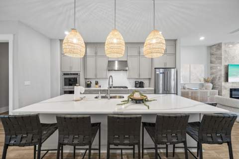 34 W Majestic Palm Drive, Inlet Beach FL - photo 16 of 54