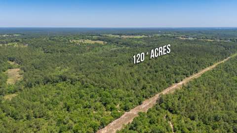 6722 N Highway 85, Laurel Hill FL - photo 18 of 31