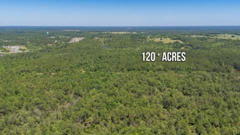 6722 N Highway 85, Laurel Hill FL - photo 16 of 31